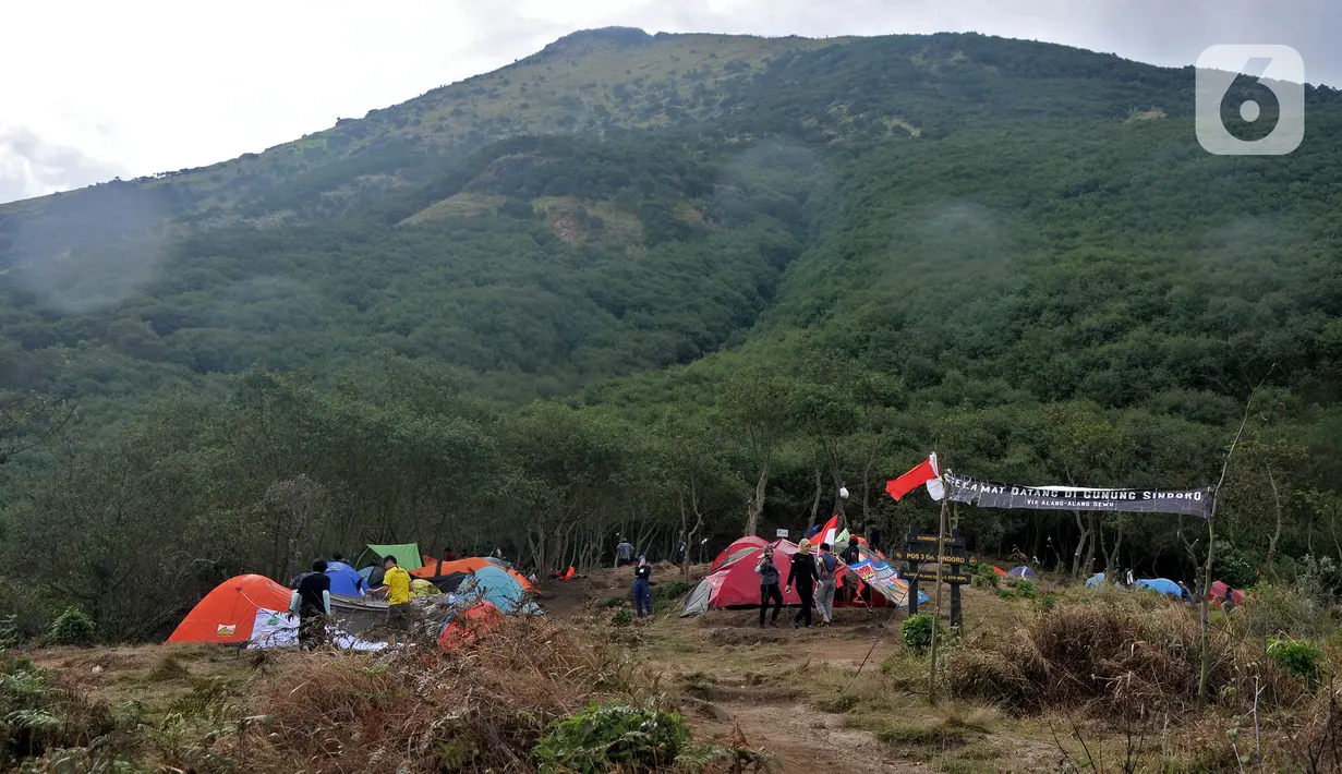 Aktivitas pendaki saat mendirikan tenda di salah satu pos pendakian Gunung Sindoro via Jalur Alang-Alang Sewu, Wonosobo, Jawa Tengah, Sabtu (11/9/2021). Wisata pendakian Gunung Sindoro kembali dibuka pasca meredanya kasus Covid-19 di Jawa-Bali yang memasuki PPKM Level 3 (merdeka.com/Iqbal S Nugroho)