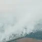 Kebakaran lahan yang diduga terjadi di salah satu perusahaan di Provinsi Riau. (Liputan6.com/Dok Lanud Roesmin Nurjadin)