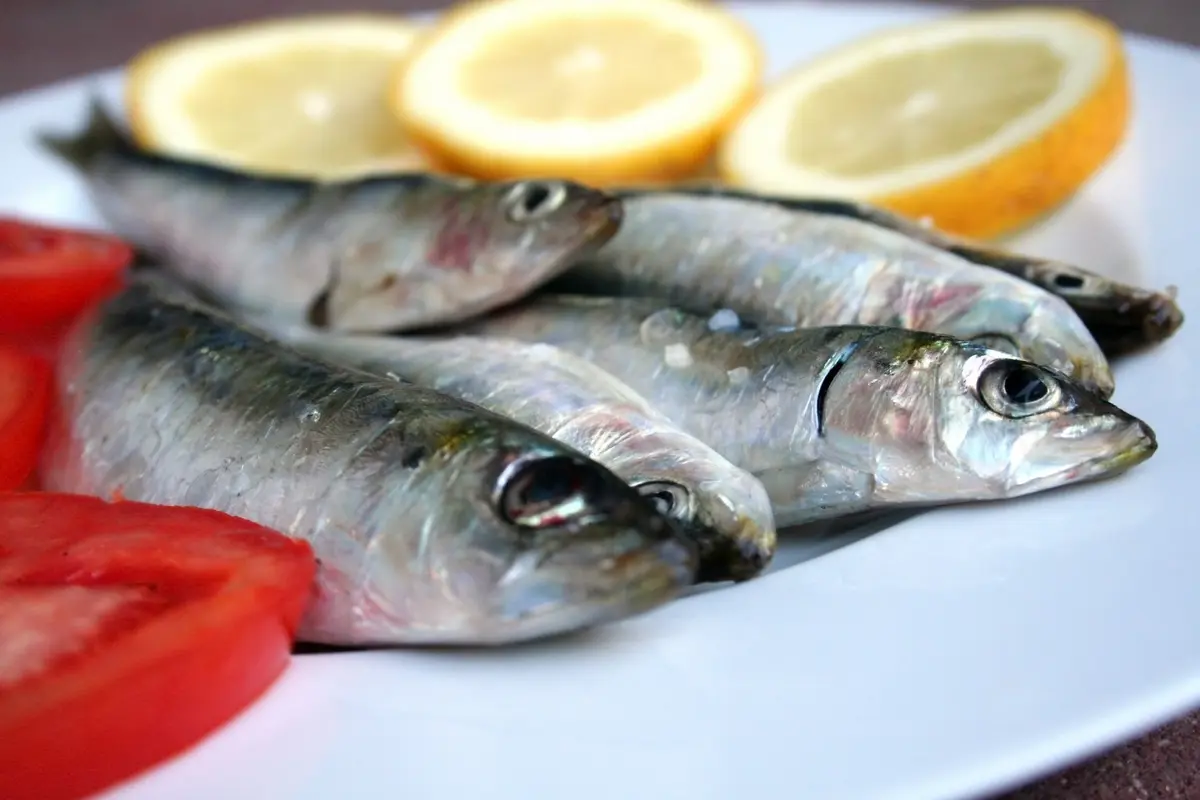 Tak Cuma Kaya Protein, Ini 5 Alasan Makan Ikan Sarden