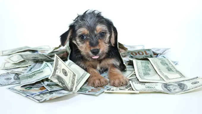 Foto: copyright Thinkstockphotos.com