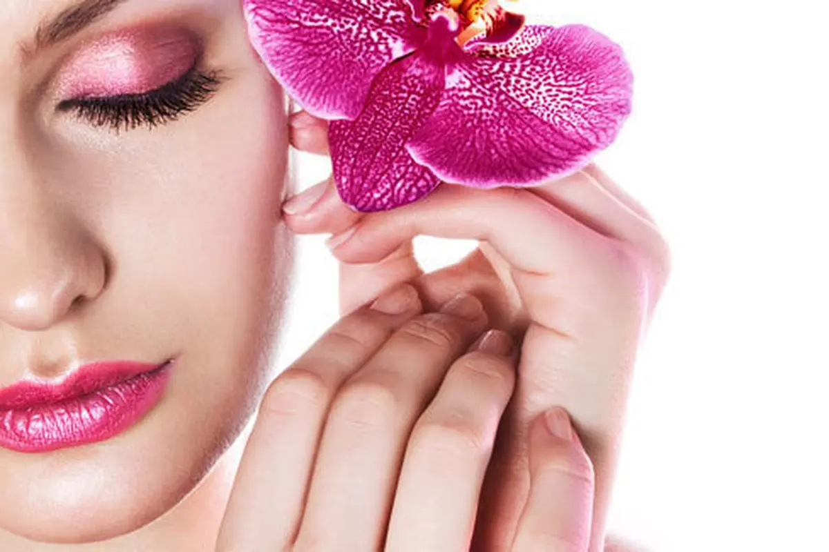 Foto : copyright shutterstock.com