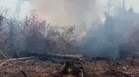 Kobaran api yang menghanguskan ribuan hektar lahan gambut di Pulau Rupat. (Liputan6.com/M Syukur)