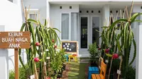 7 Ide Kebun Buah Mini Ramah Anak Sebagai Edukasi Berkebun di Rumah