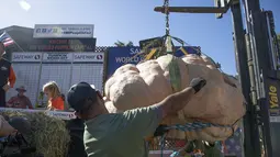 Orang-orang mengikuti kompetisi penimbangan labu tahunan di San Mateo, California, Amerika Serikat (12/10/2020). (Xinhua/Li Jianguo)