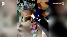 Seekor kucing bertindak pintar dengan berbelanja sosis sendiri ke warung.