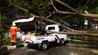 Mobil tertimpa pohon tumbang di Jakarta Utara.