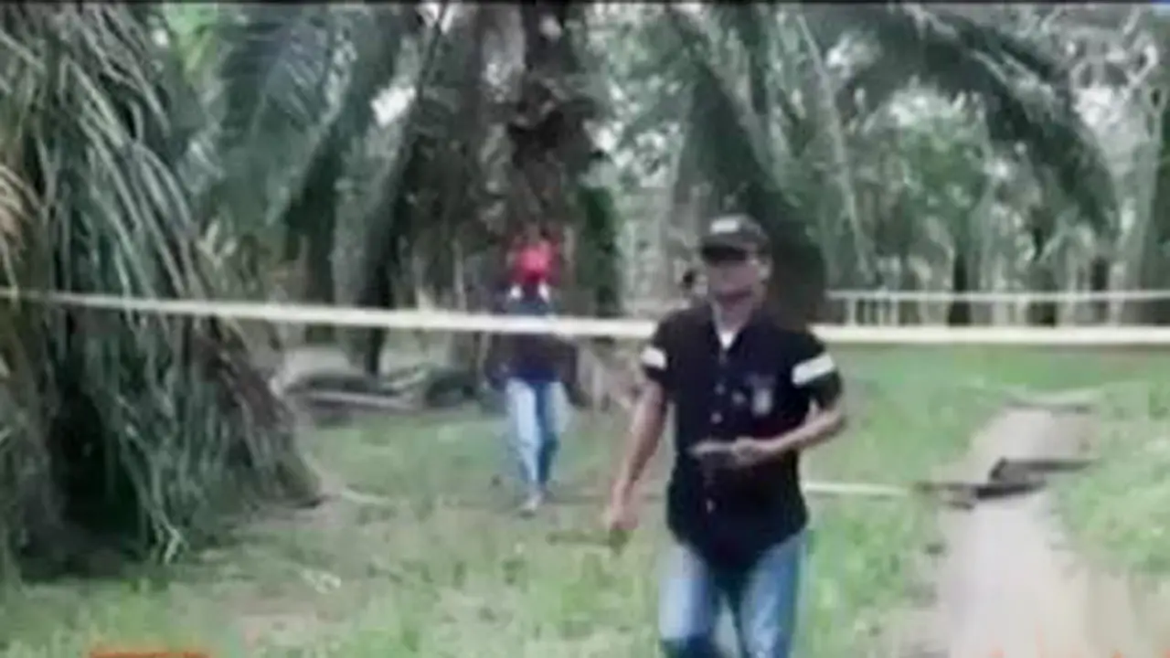Segmen 1:Siswa Tewas di Kebun Kelapa Sawit hingga Bocah Obesitas
