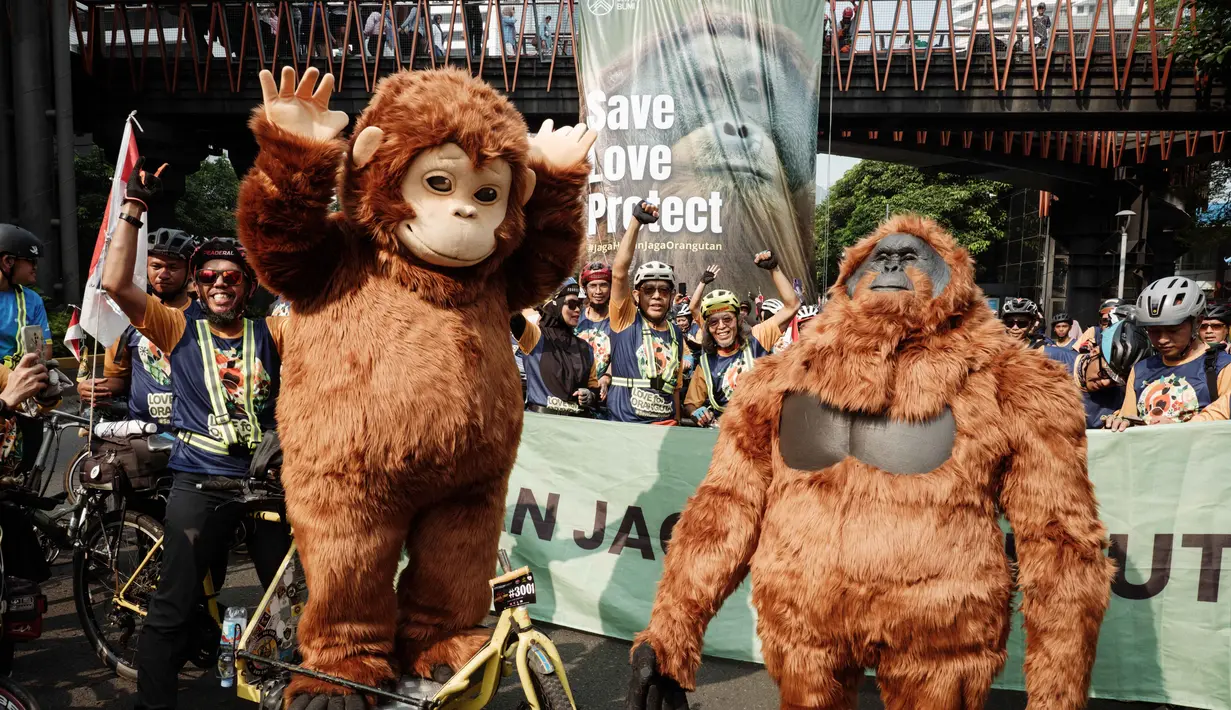 Pengendara sepeda dan aktivis lingkungan menghadiri aksi kesadaran yang menyerukan perlindungan orangutan selama Hari Bebas Kendaraan Bermotor (HBKB) atau Car Free Day (CFD) di Jakarta pada 24 Agustus 2025. (YASUYOSHI CHIBA/AFP)