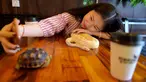 Foto pada 18 Agustus 2018 menunjukkan seorang pelanggan berswafoto dengan ular piton albino di Reptile Cafe, Phnom Penh, Kamboja. Kafe ini dibuka untuk mengubah reputasi kadal dan ular di kalangan orang yang tidak suka reptil. (AFP/TANG CHHIN Sothy)