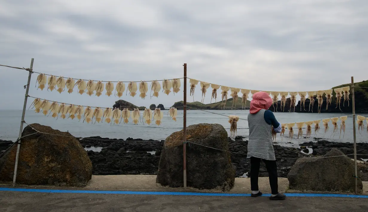 Seorang wanita menggantung cumi-cumi untuk dikeringkan du sebuah pelabuhan di pulau Jeju, Korea Selatan (8/5/2019). Karena memiliki keindahan alam dan kebudayaan yang unik, Pulau Jeju adalah salah satu objek wisata paling terkenal di Korea. (AFP Photo/Ed Jones)