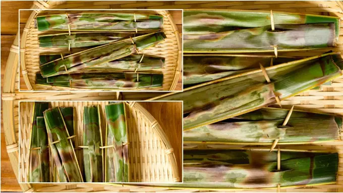 Courtesy ShutterStock.com