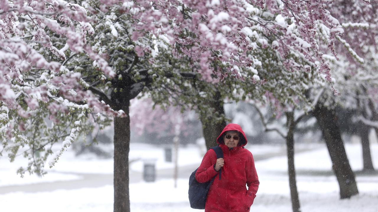 Salju Musim Semi dan Hembusan Angin Menyapu Balkan