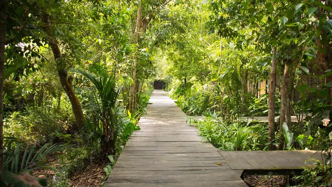 [Bintang] Kalimantan