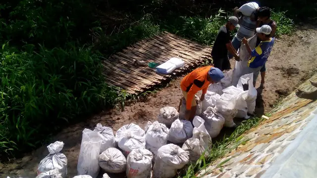 Bencana Awal Tahun di Brebes