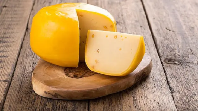 Ilustrasi Keju Gouda