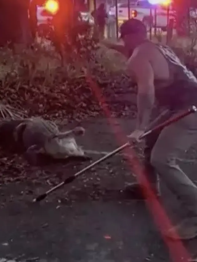 Aksi Petarung MMA Bergulat dengan Buaya