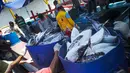 Ikan-ikan segar ini diprediksi harganya akan melonjak karena kelangkaan BBM, Jakarta, Kamis (28/8/2014) (Liputan6.com/Faizal Fanani)