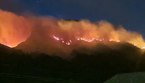 Kebakaran Lereng Ijen Meluas, Hutan Lindung dan Cagar Alam Terancam