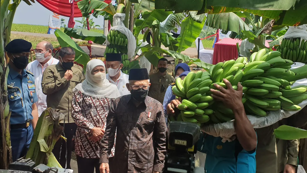 Wakil Presiden Ma'ruf Amin