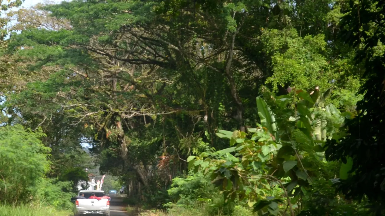 Salah satu titik jalan dari Dermaga Sodong menuju Lapas Karanganyar dan lapas lain di Nusakambangan, Cilacap. (LIputan6.com/Muhamad Ridlo)