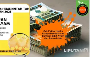 Waspada Hoaks Bantuan Ayam Marak Beredar, Cek Faktanya Agar Tak Tertipu
