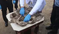Misteri Puluhan Kafan Berisi Tulang di Magelang Terungkap