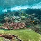 Taman Nasional Kepulauan Komodo, Nusa Tenggara Timur. (Sumber Foto: yachtcharterfleet.com)