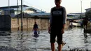 Seorang wanita menerobos banjir rob yang diakibatkan naiknya permukaan air laut di Muara Baru, Penjaringan, Jakarta Utara, Kamis (7/12). Rob tinggi membuat tanggul tidak mampu menahan air laut sehingga membanjiri jalanan. (Liputan6.com/Johan Tallo)