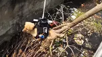 Seekor anjing yang ada di selokan berhasil diselamatkan dengan drone (Sumber: Channel YouTube Milind Raj)