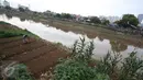 Warga merawat tanaman kangkung yang ditanam di bantaran Kanal Banjir Barat, Jakarta, Rabu (29/3). Adanya lahan kosong di kawasan tersebut dimanfaatkan warga untuk bercocok tanam. (Liputan6.com/Immanuel Antonius)