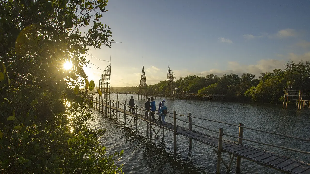 Menikmati Keindahan Pantai Congot Wisata Alam Kulon Progo