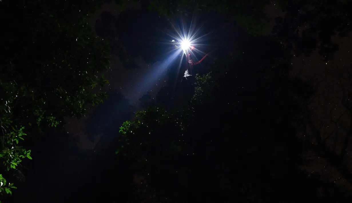Pemburu madu menggunakan senter memanen madu dari sarang lebah di atas pohon Tualang di hutan Ulu Muda di Sik, Malaysia, (12/3). Para pemburu madu ini menantang kawanan hewan lainnya untuk mengumpulkan madu berharga tersebut. (AFP Photo/Manan Vatsyayana)