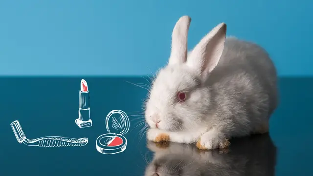 Kelinci Cruelty Free