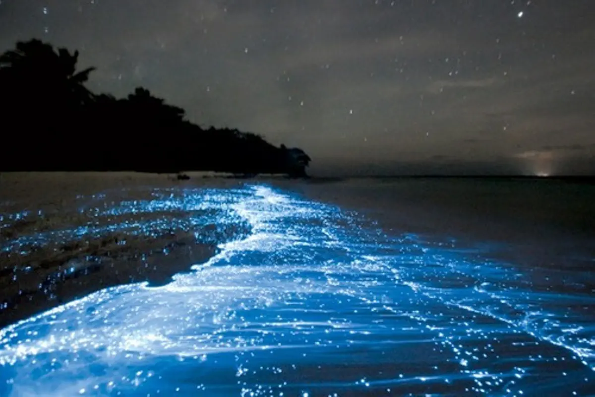 [Bintang] Maldives