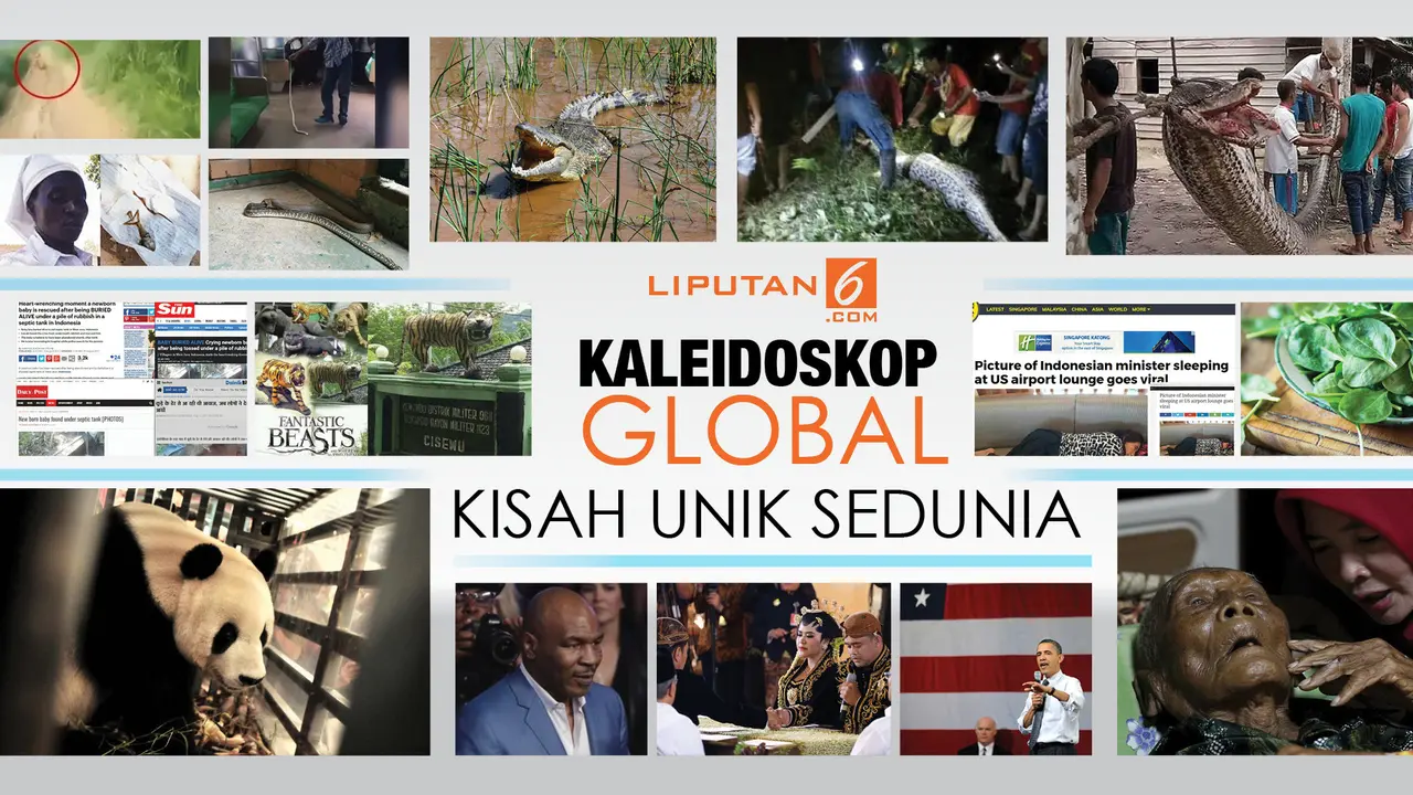 Banyak kisah unik yang terjadi sepanjang tahun 2017. Beberapa di antaranya terjadi di Tanah Air dan jadi sorotan dunia (Liputan6.com)