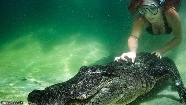 wanita-predatort-130729b.jpg