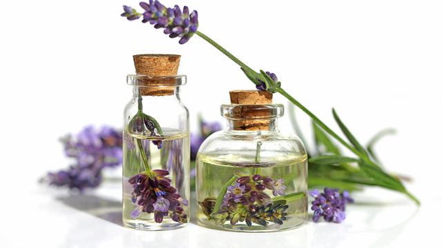 6 Cara Mengusir Nyamuk Secara Alami Mudah Dan Bikin Tidur Makin