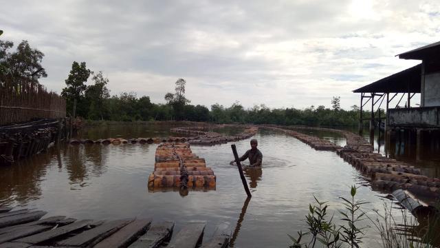 Direktorat Jenderal Perkebunan