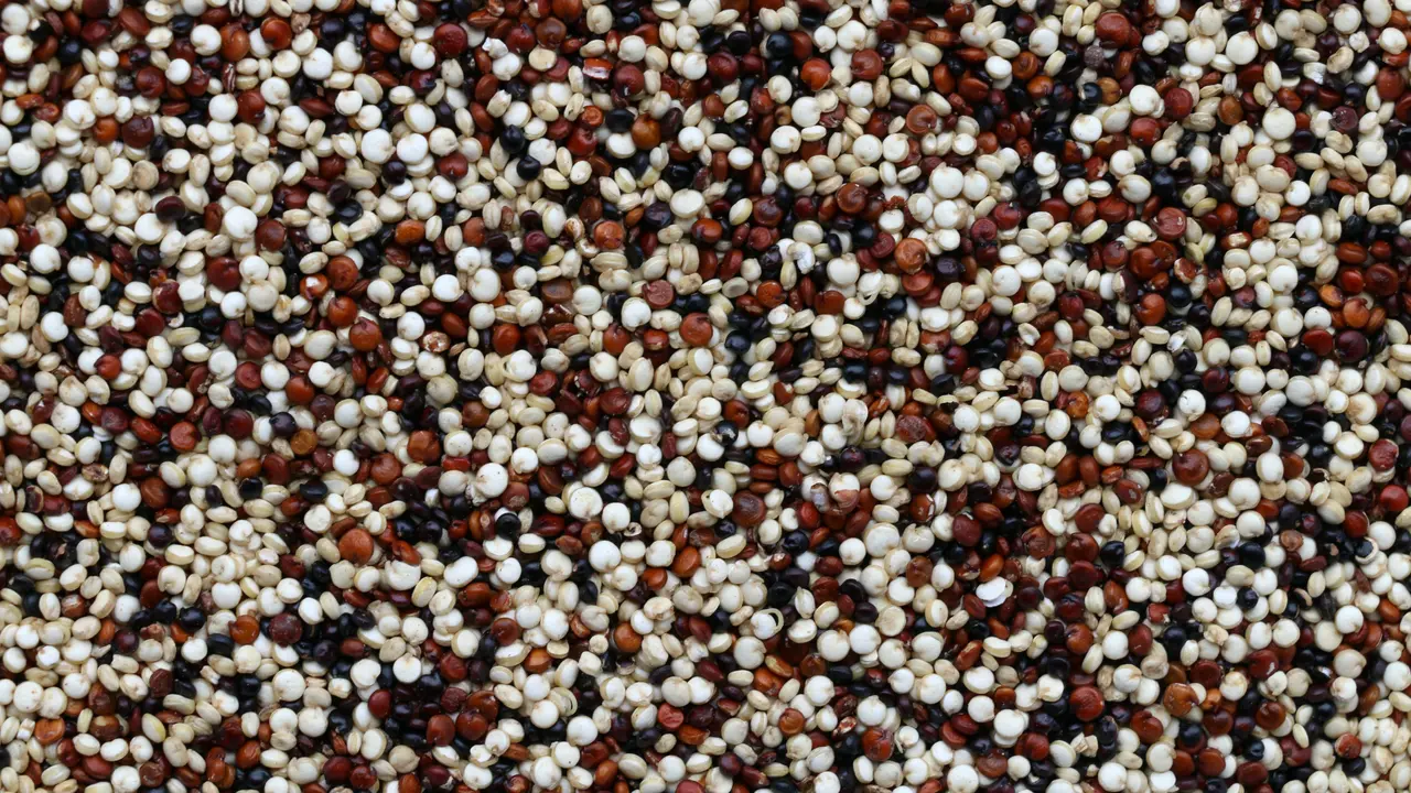 quinoa