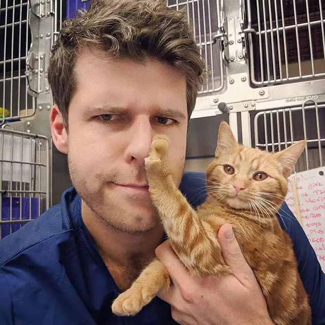 Tak Mau Dipeluk dan Dicium, 10 Ekspresi Kucing Ini Tampak Kocak