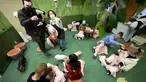 Pengunjung bermain dengan babi mikro di Mipig Cafe, Tokyo, Jepang, 24 Januari 2024. Di tempat ini, pengunjung bisa merasakan sensasi nongkrong ditemani babi-babi mini. (AP Photo/Eugene Hoshiko)
