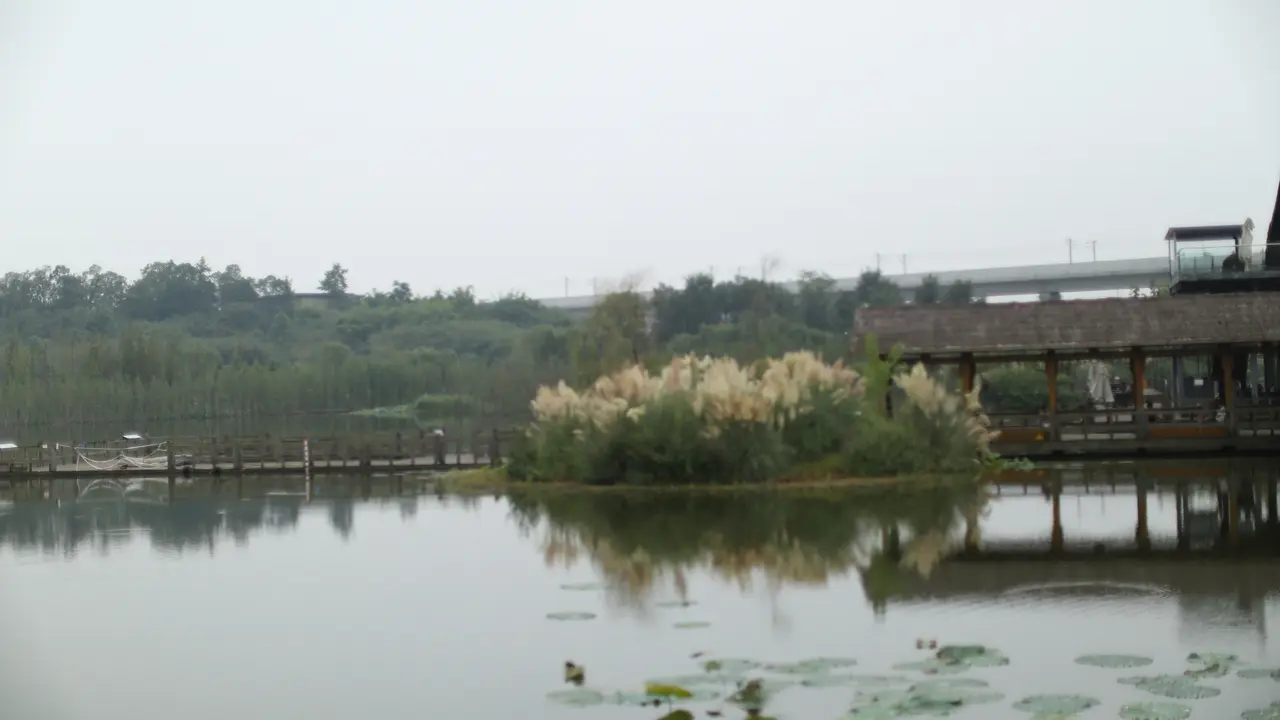 Ds Wisata Cheng Du_Pelukis Kaligrafi China_6
