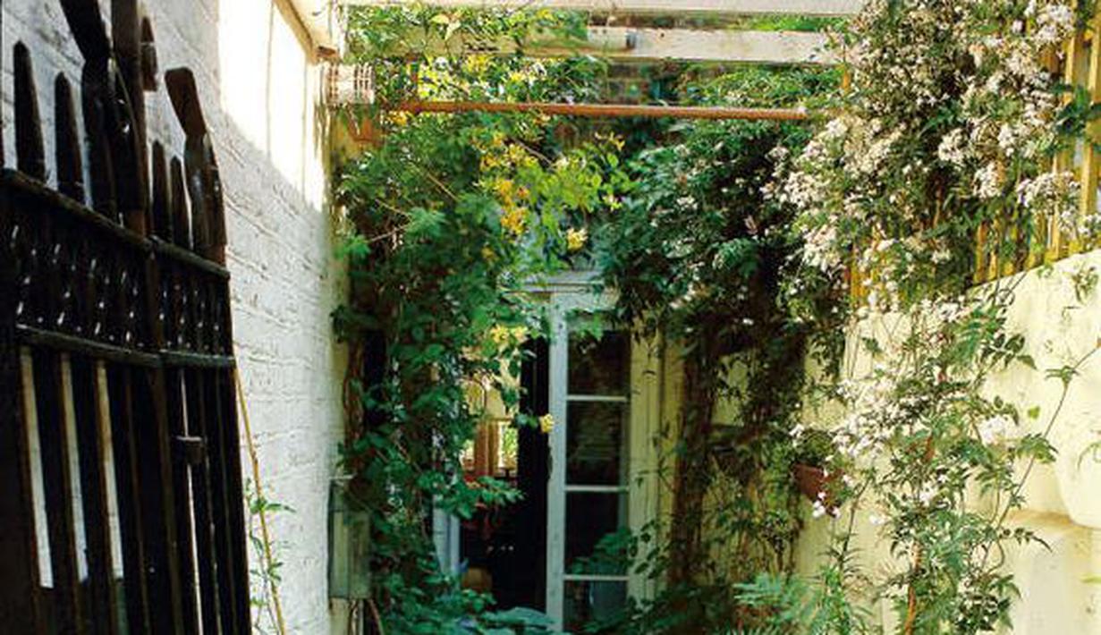 10 Inspirasi Taman Samping Rumah Sempit dengan Jalan ...