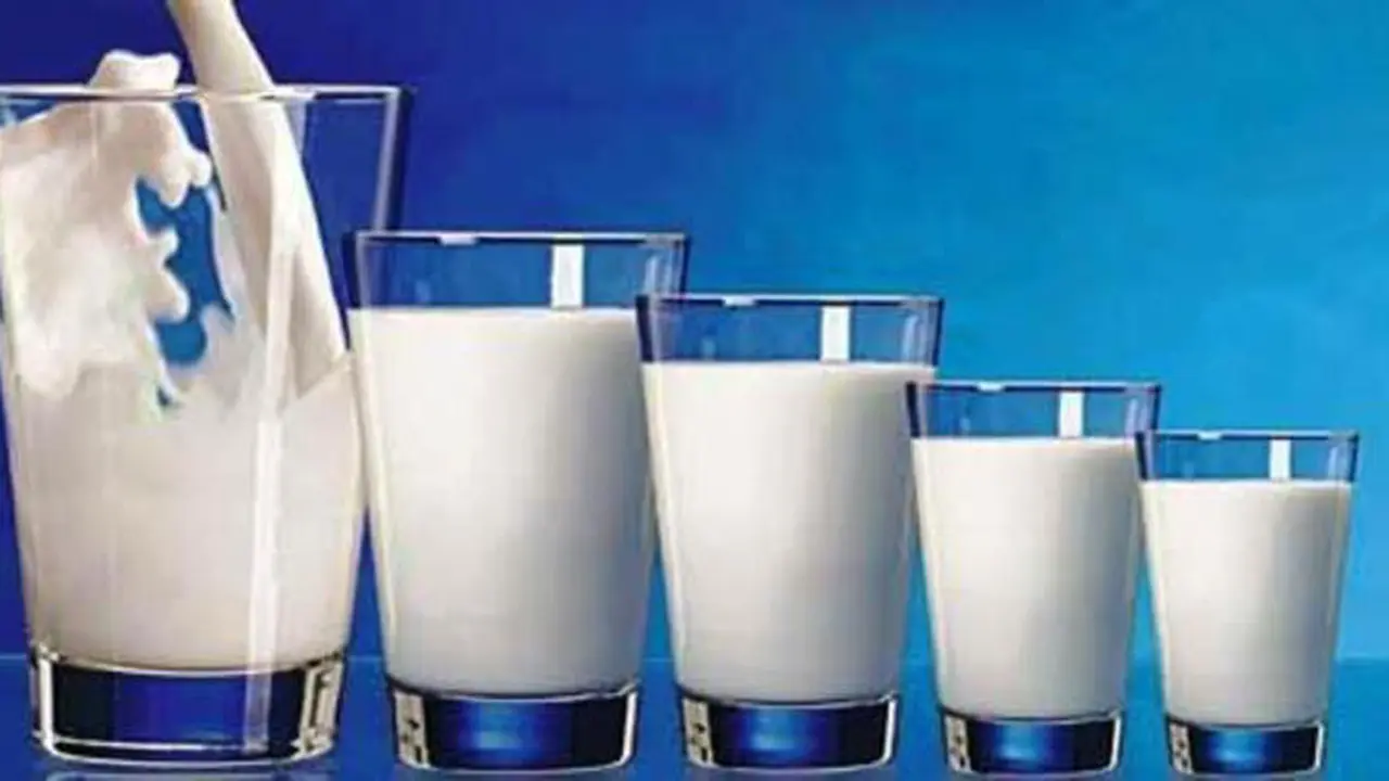 Khasiat Susu yang Terpendam