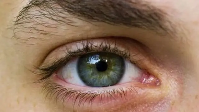 Mata. (foto: Pinterest/New York Daily News).