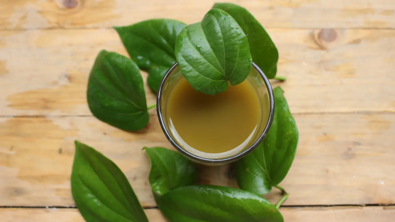 jamu kunci sirih