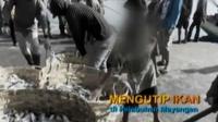 Sejumlah bocah dengan lincah mengutip ikan para nelayan di Pelabuhan Mayangan, Probolinggo, Jawa Timur.
