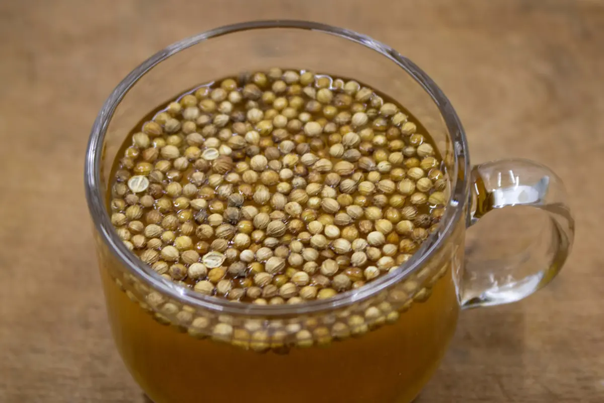 air rebusan ketumbar minuman kesehatan