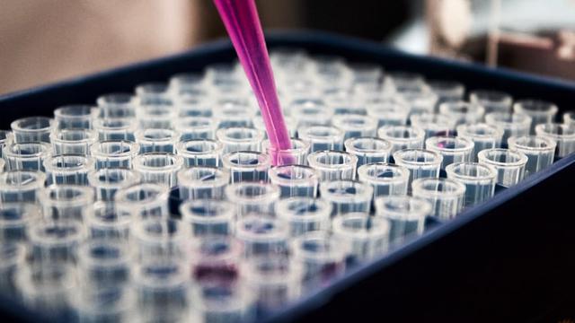 Lab. Foto: Unsplash/ Louis Reed