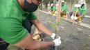 Pekerja melakukan penanam bibit Mangrove jenis Rhizopora Mucronata di Kawasan PT Karya Citra Nusantara  (KCN) Marunda, Cilincing Jakarta Jumat (3/6/2022). Sepanjang 1100 meter tahap dua untuk menanam mangrove di kawasan tersebut, sebagai komitmen kepedulian terhadap lingkungan laut terutama pesisir Utara Jakarta. (merdeka.com/Imam Buhori)